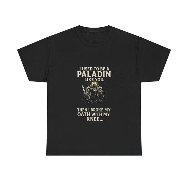 I Used To Be A Paladin